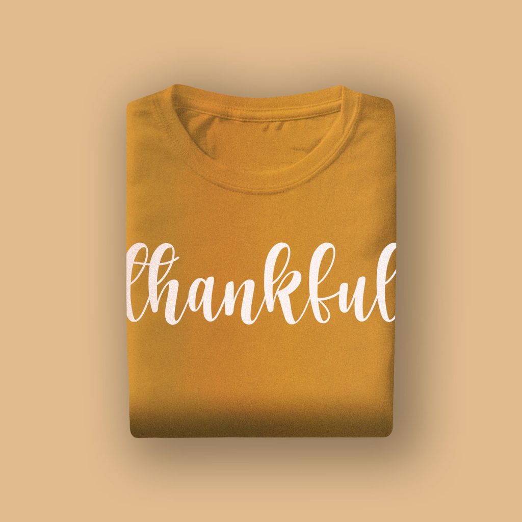 Flamingo Tshirt